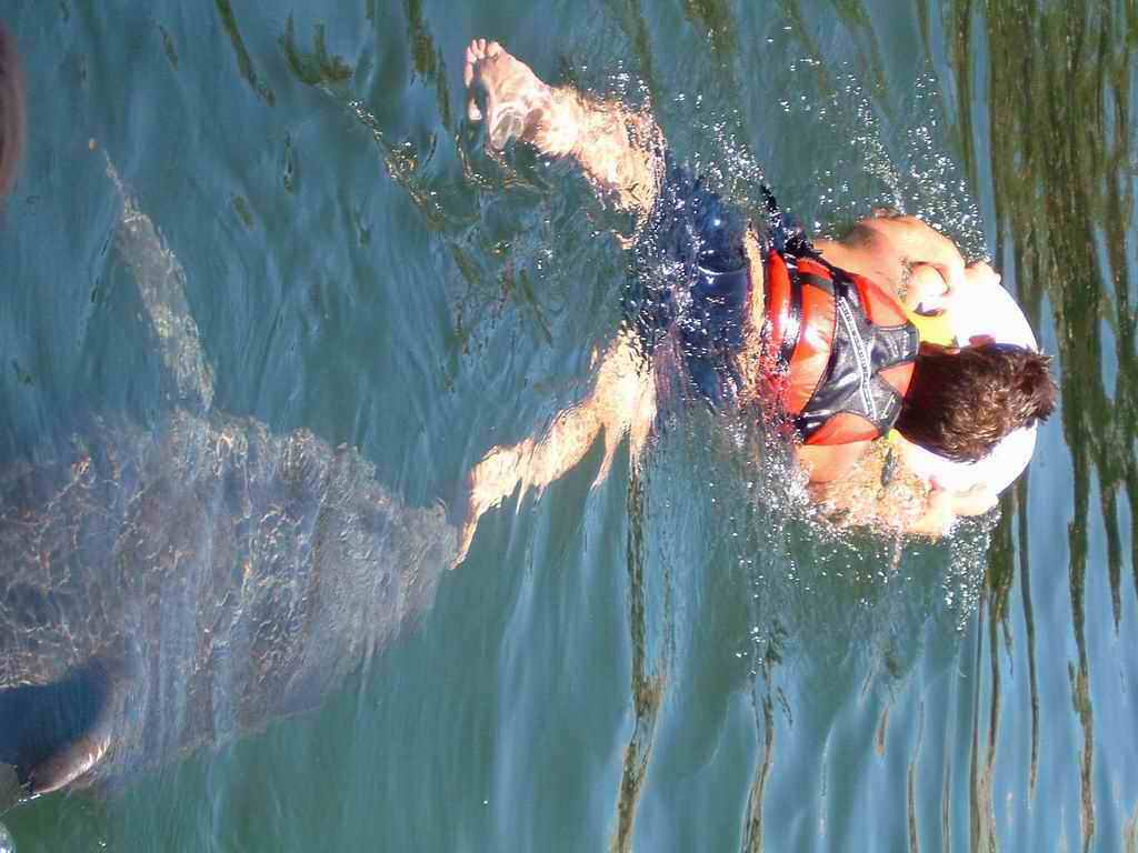 Dauphins_2003(12).jpg