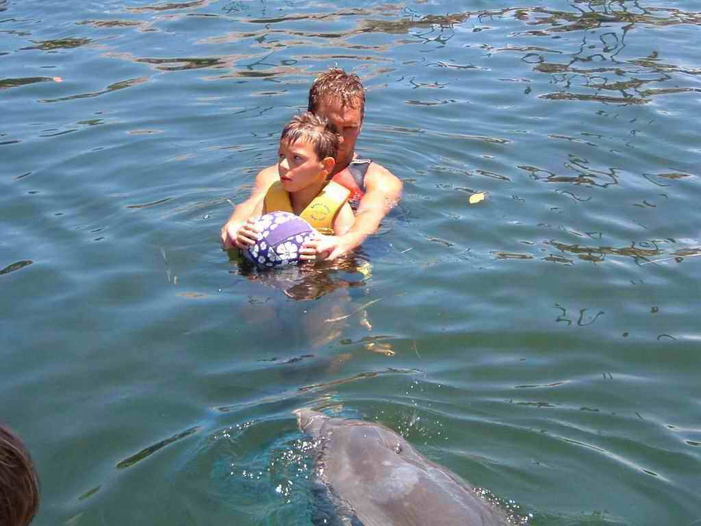 Dauphins_2003(16).jpg