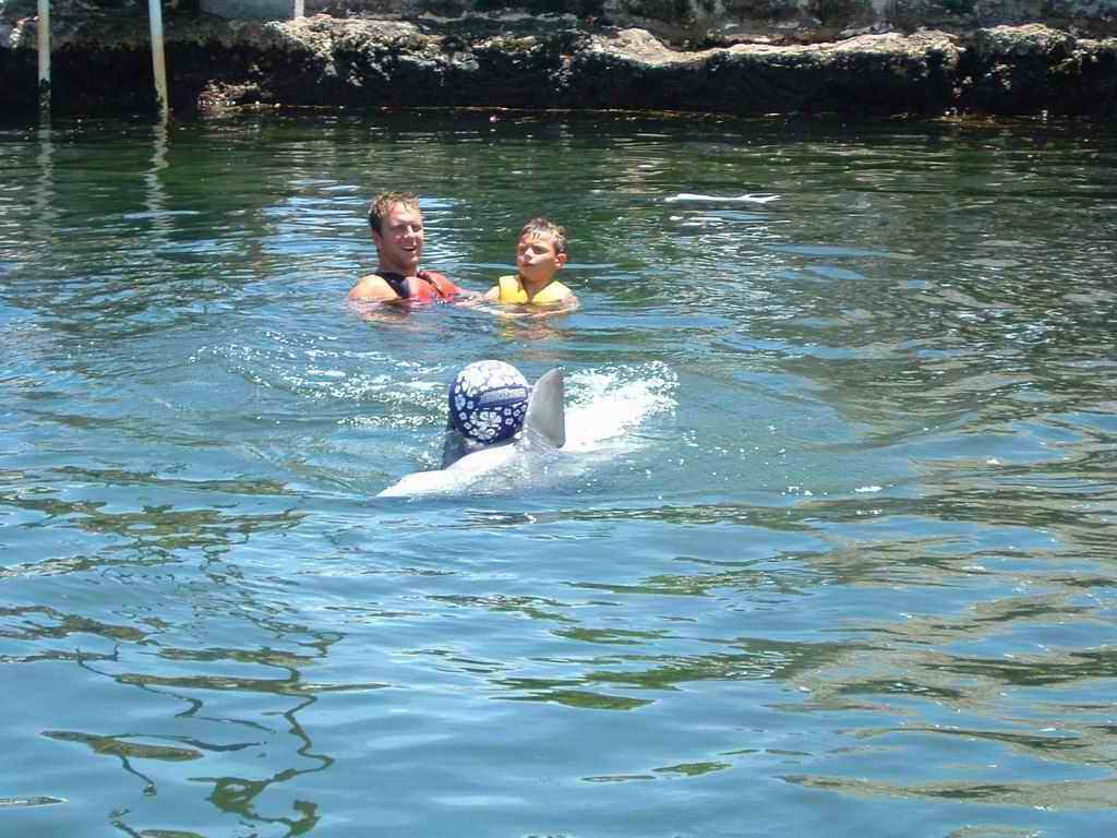 Dauphins_2003(17).jpg