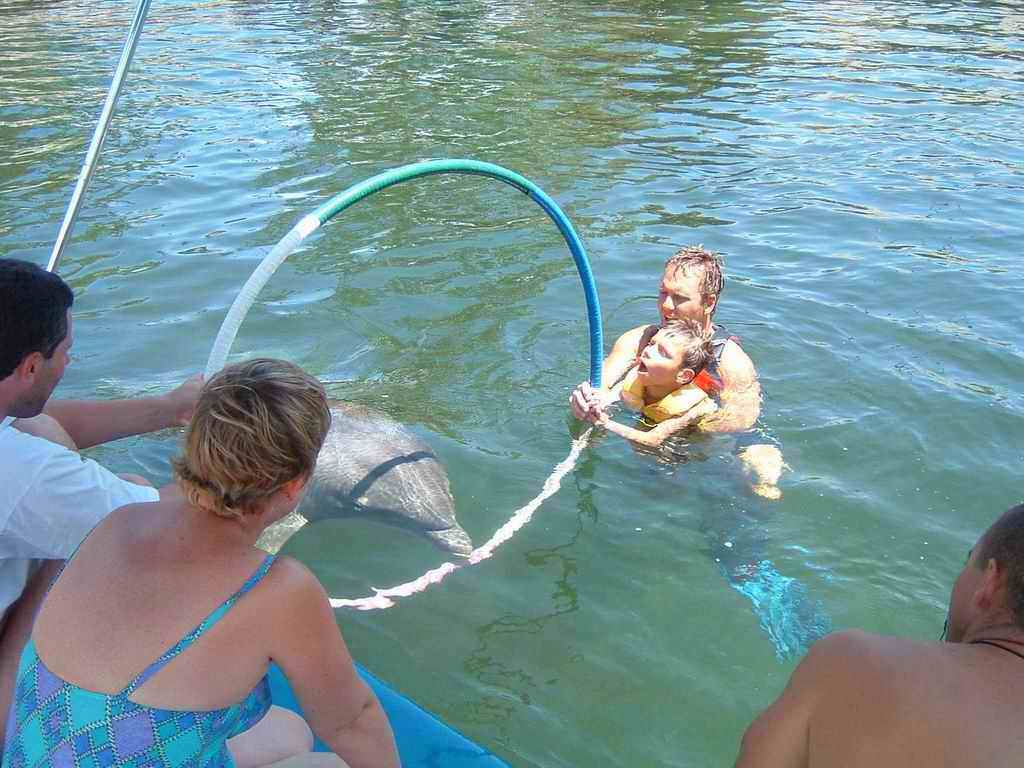 Dauphins_2003(19).jpg