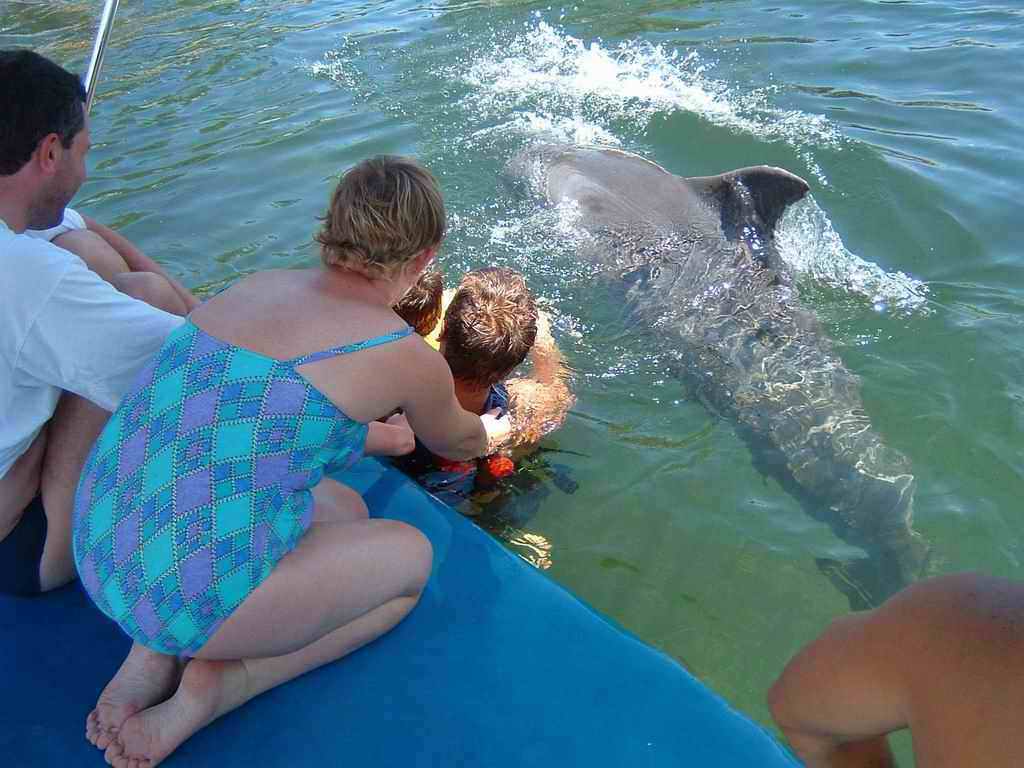 Dauphins_2003(20).jpg