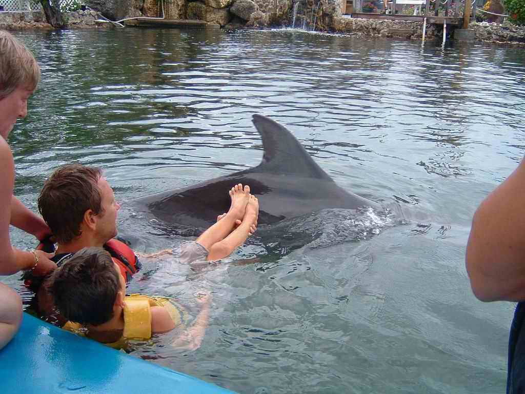 Dauphins_2003(21).jpg