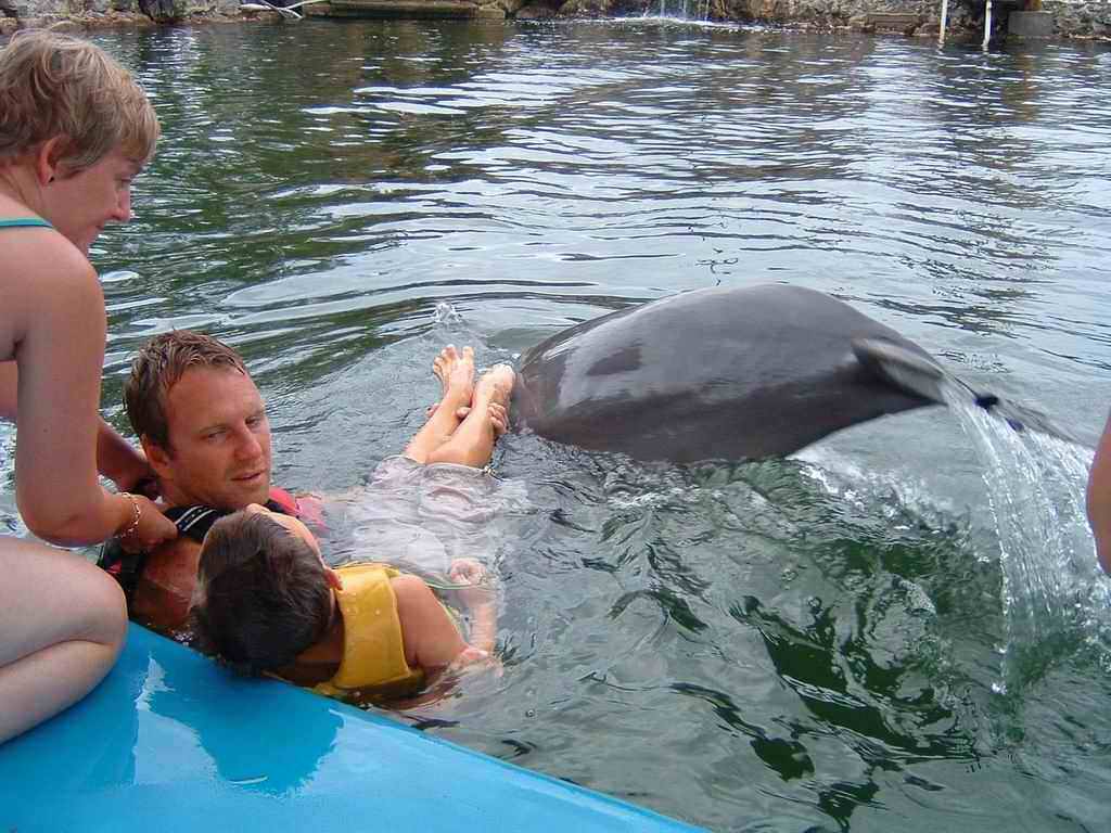Dauphins_2003(22).jpg