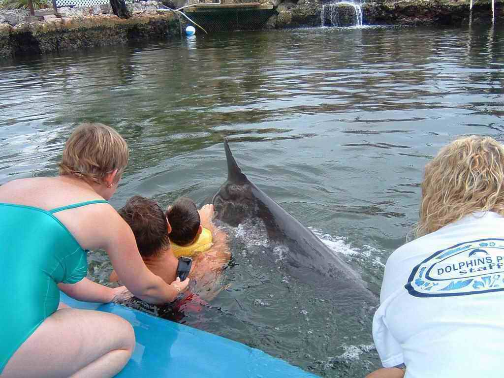 Dauphins_2003(24).jpg