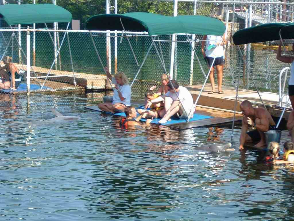 Dauphins_2003(25).jpg