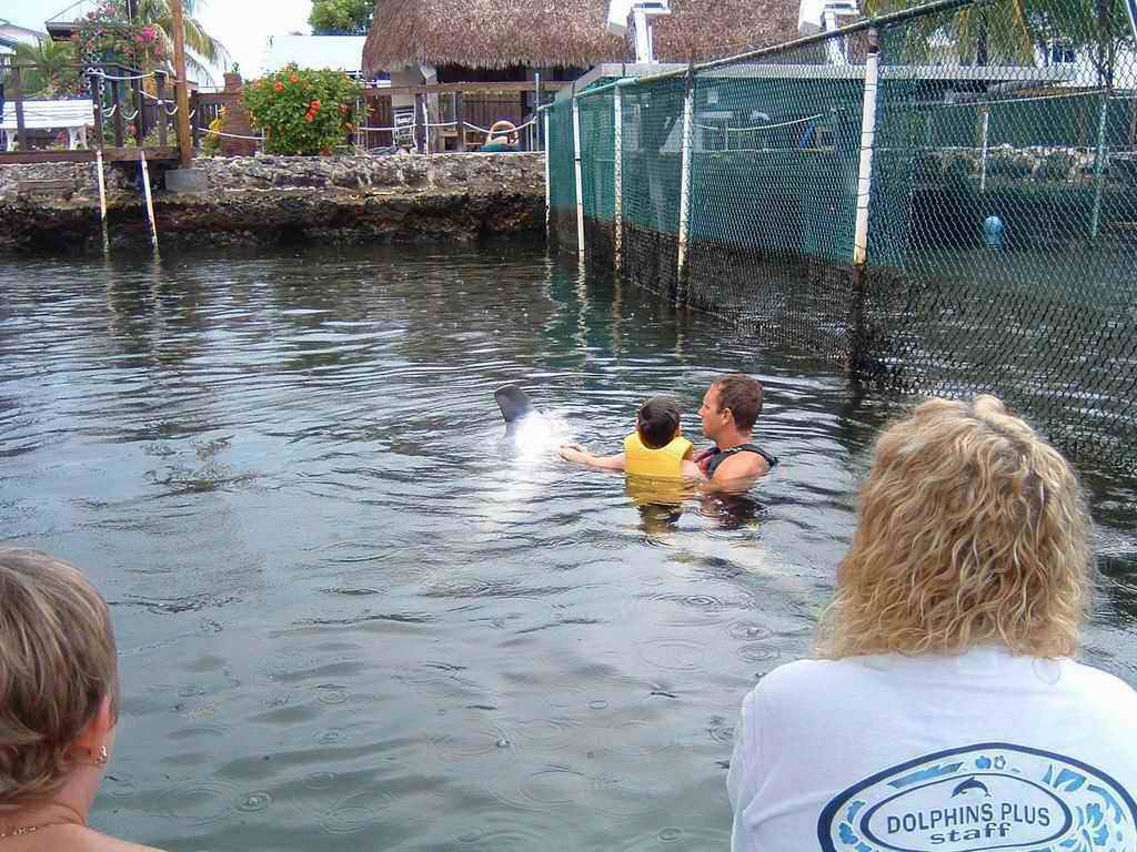 Dauphins_2003(26).jpg