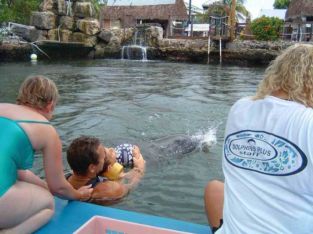 Dauphins_2003(27).jpg